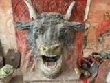 Photo #7992